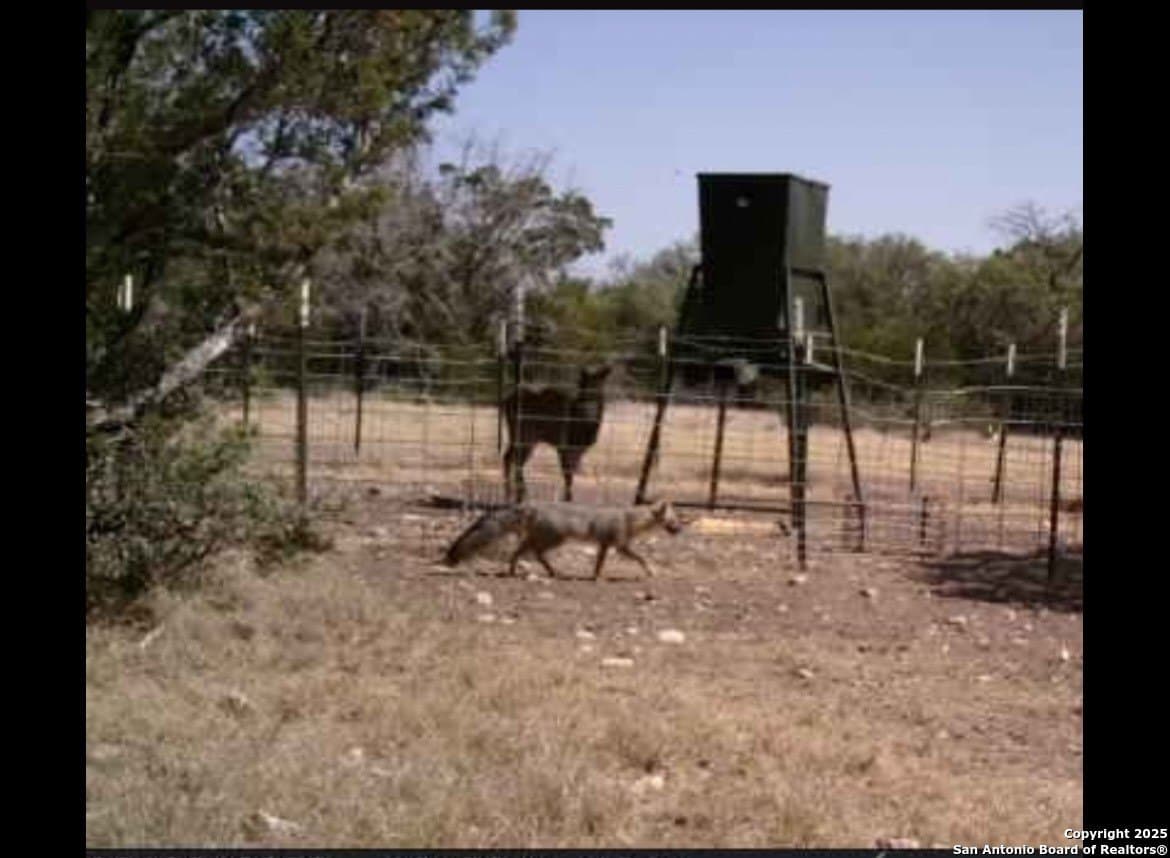 73.84 acres in Edwards County - photo 63