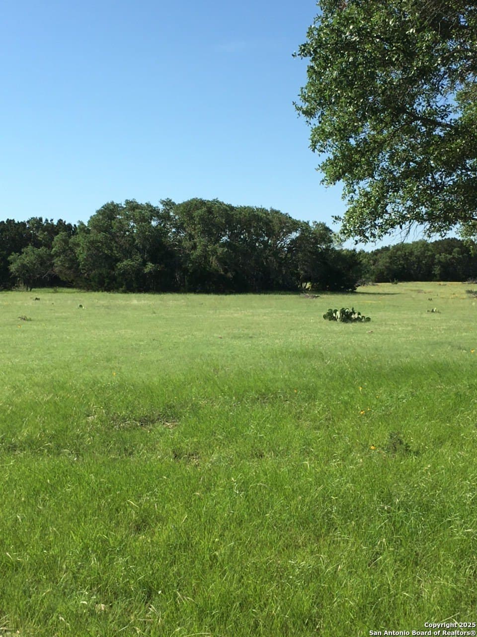 73.84 acres in Edwards County - photo 8