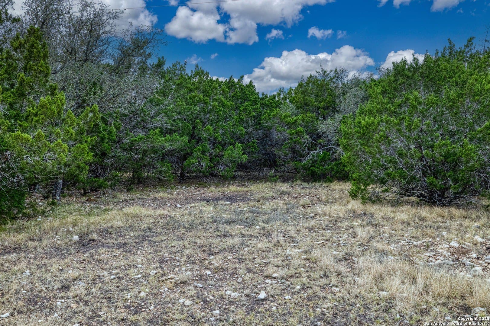 73.84 acres in Edwards County - photo 30