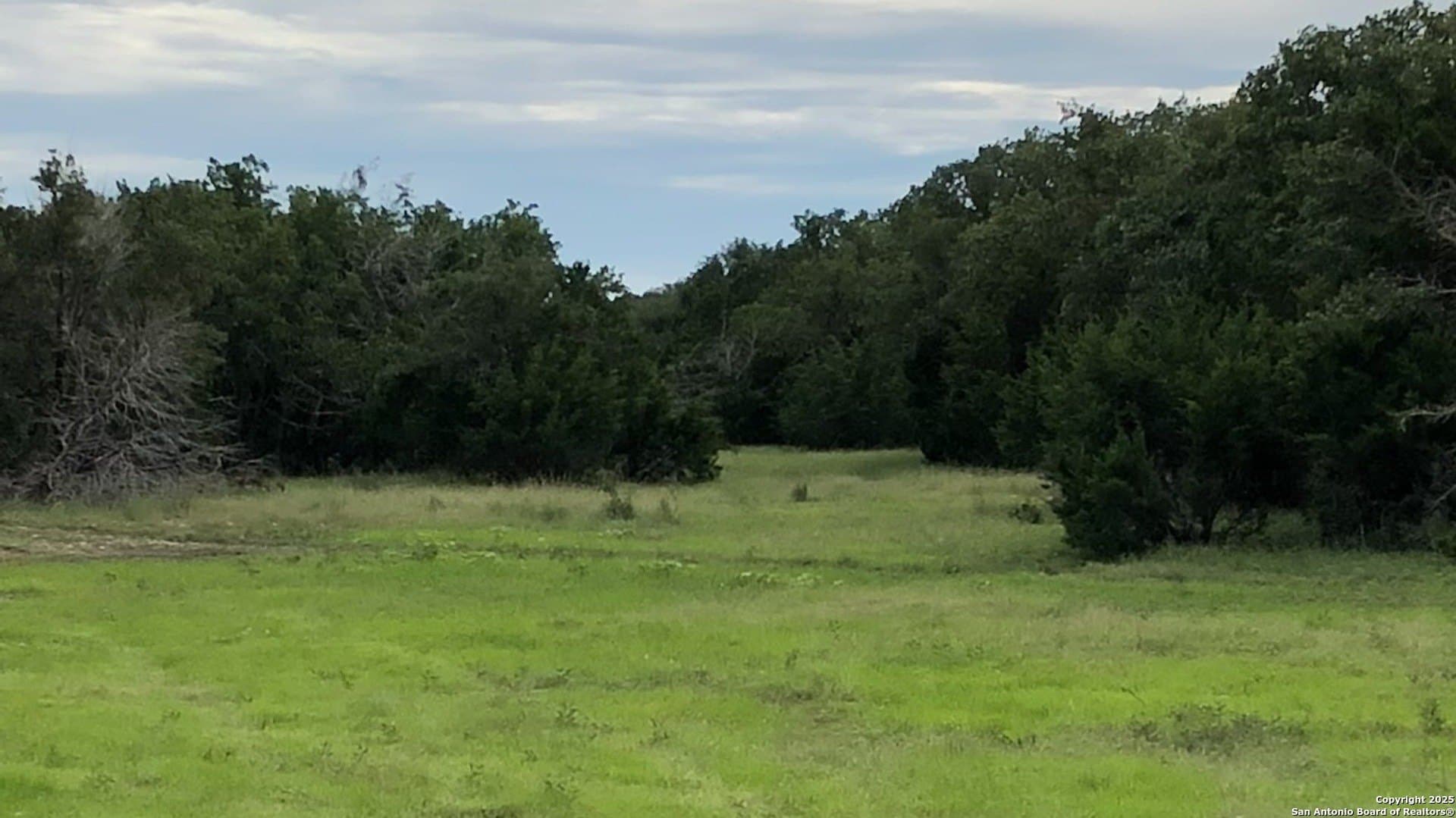 73.84 acres in Edwards County - photo 13
