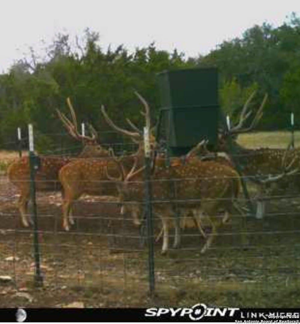 73.84 acres in Edwards County - photo 60