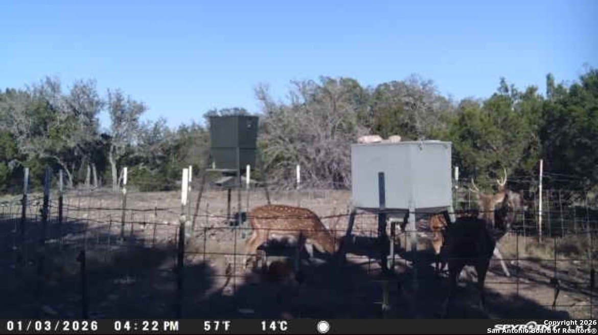 73.84 acres in Edwards County - photo 54