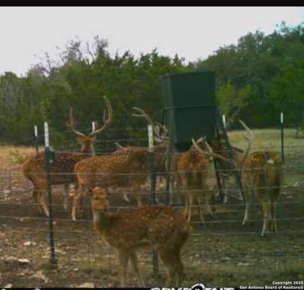 73.84 acres in Edwards County - photo 61