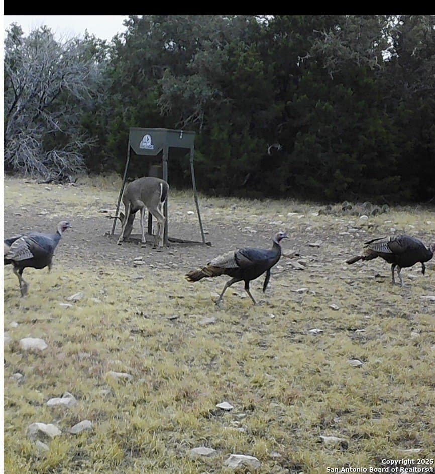 73.84 acres in Edwards County - photo 69