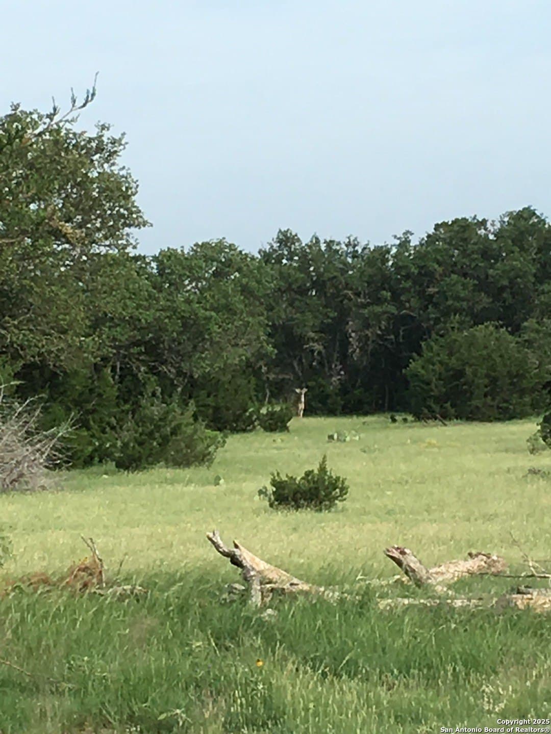 73.84 acres in Edwards County - photo 9