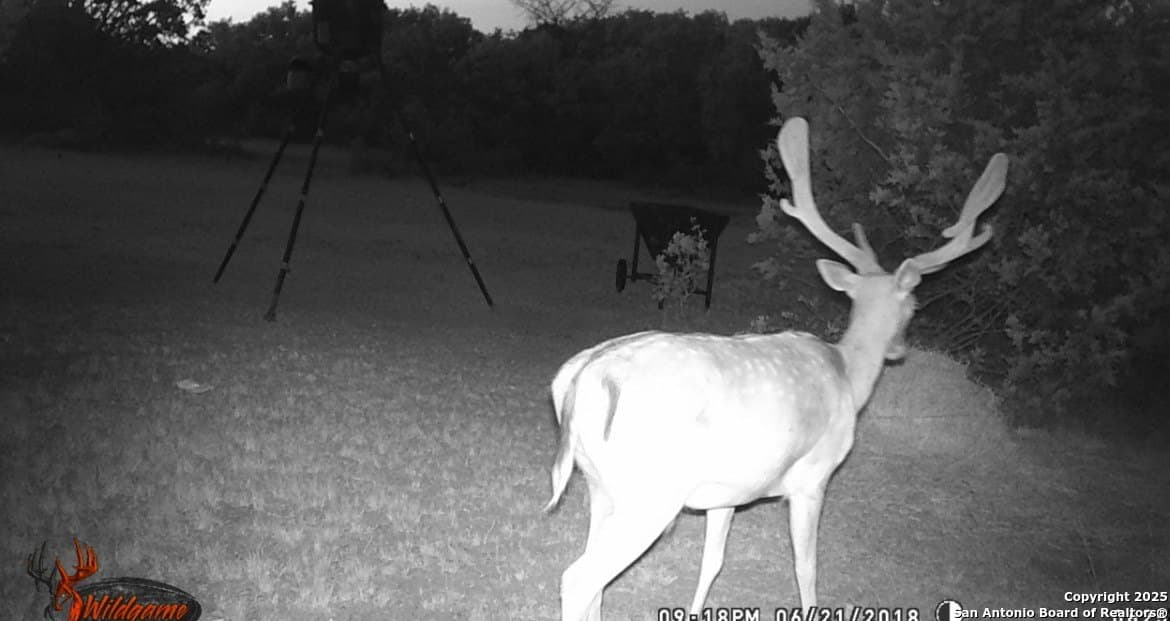 73.84 acres in Edwards County - photo 64