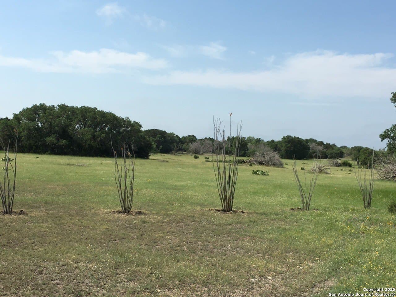 73.84 acres in Edwards County - photo 10