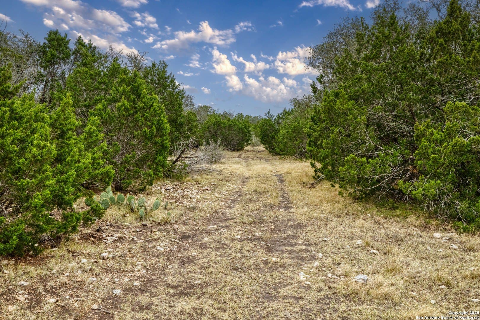 73.84 acres in Edwards County - photo 29