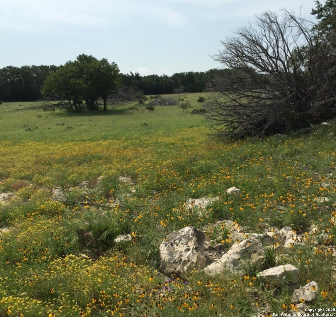 73.84 acres in Edwards County - photo 7