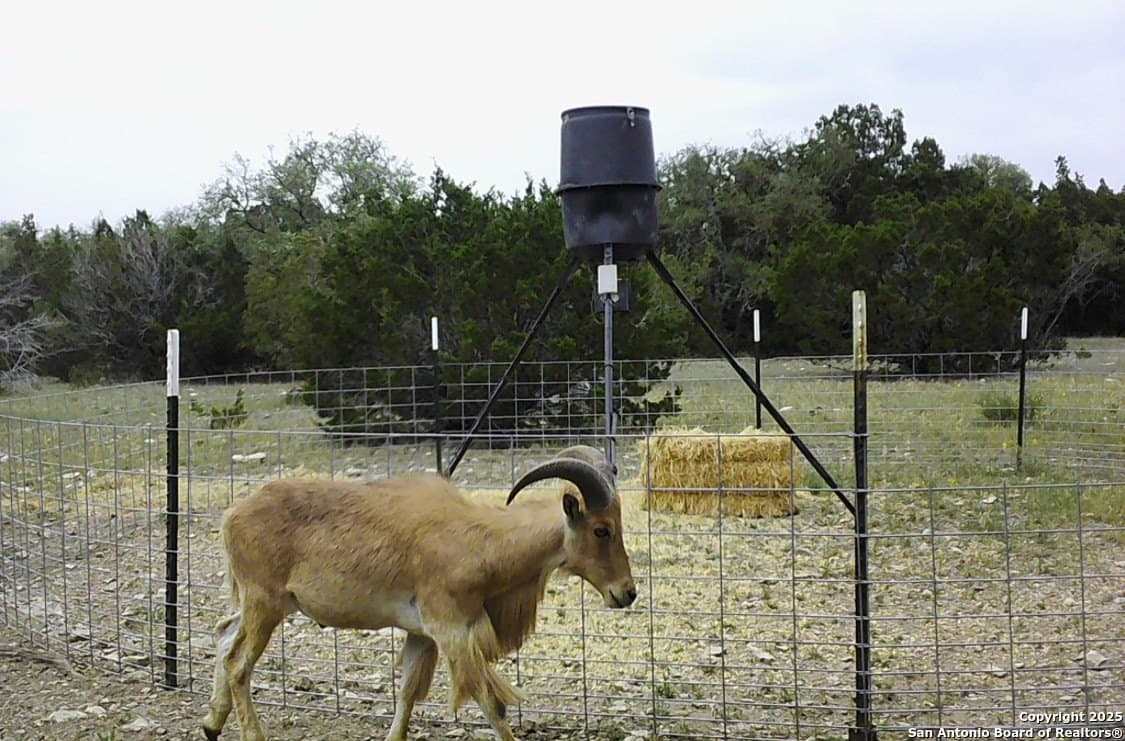 73.84 acres in Edwards County - photo 70