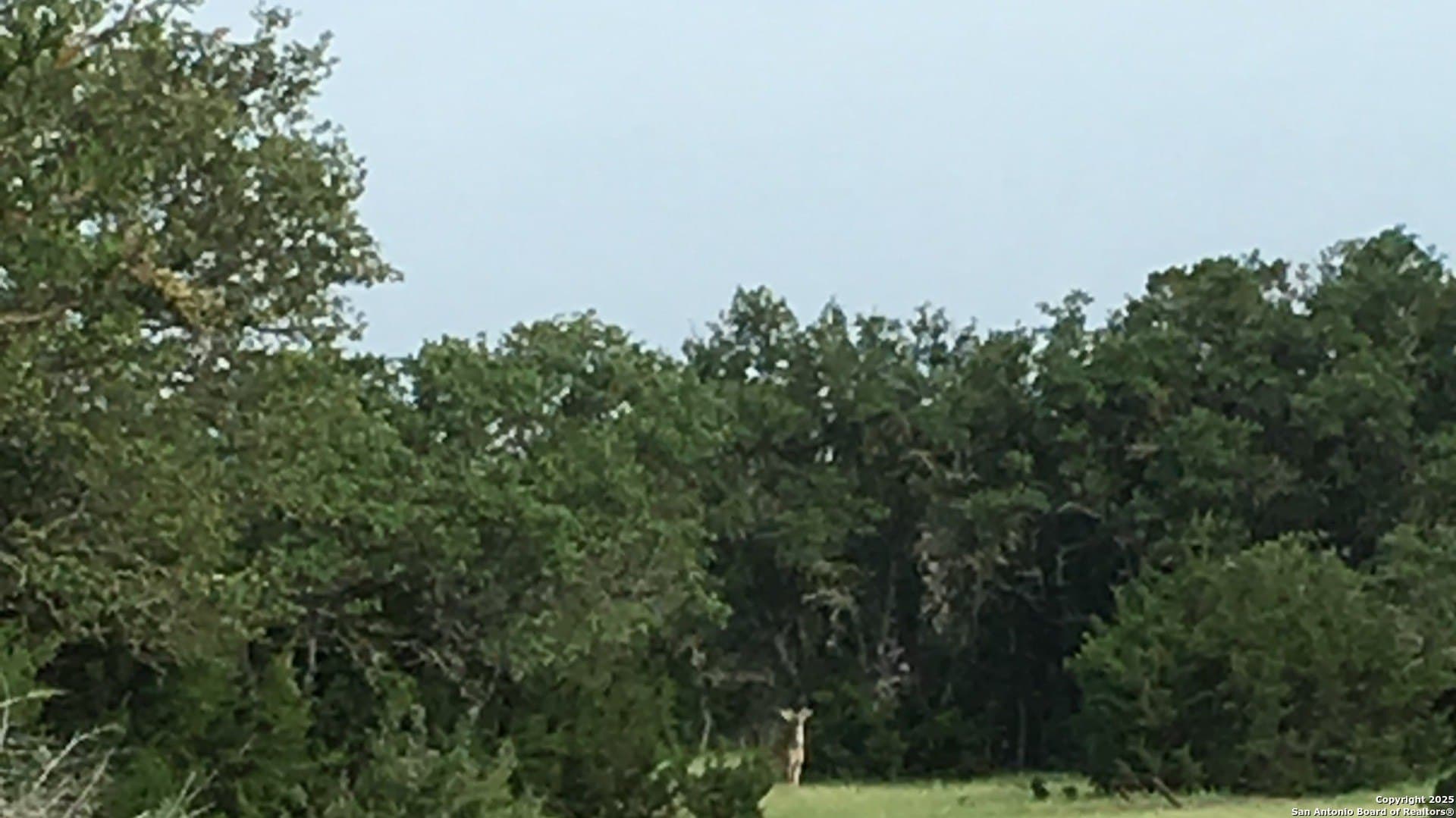 73.84 acres in Edwards County - photo 53