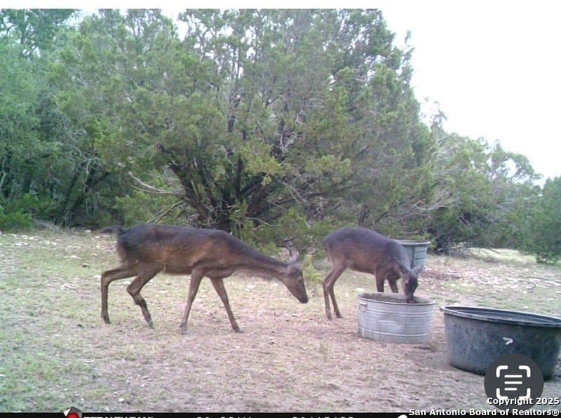 73.84 acres in Edwards County - photo 62