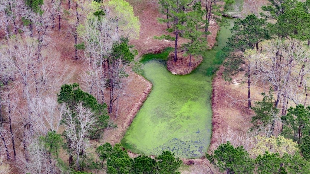 20 acres in Texas County gallery image 4