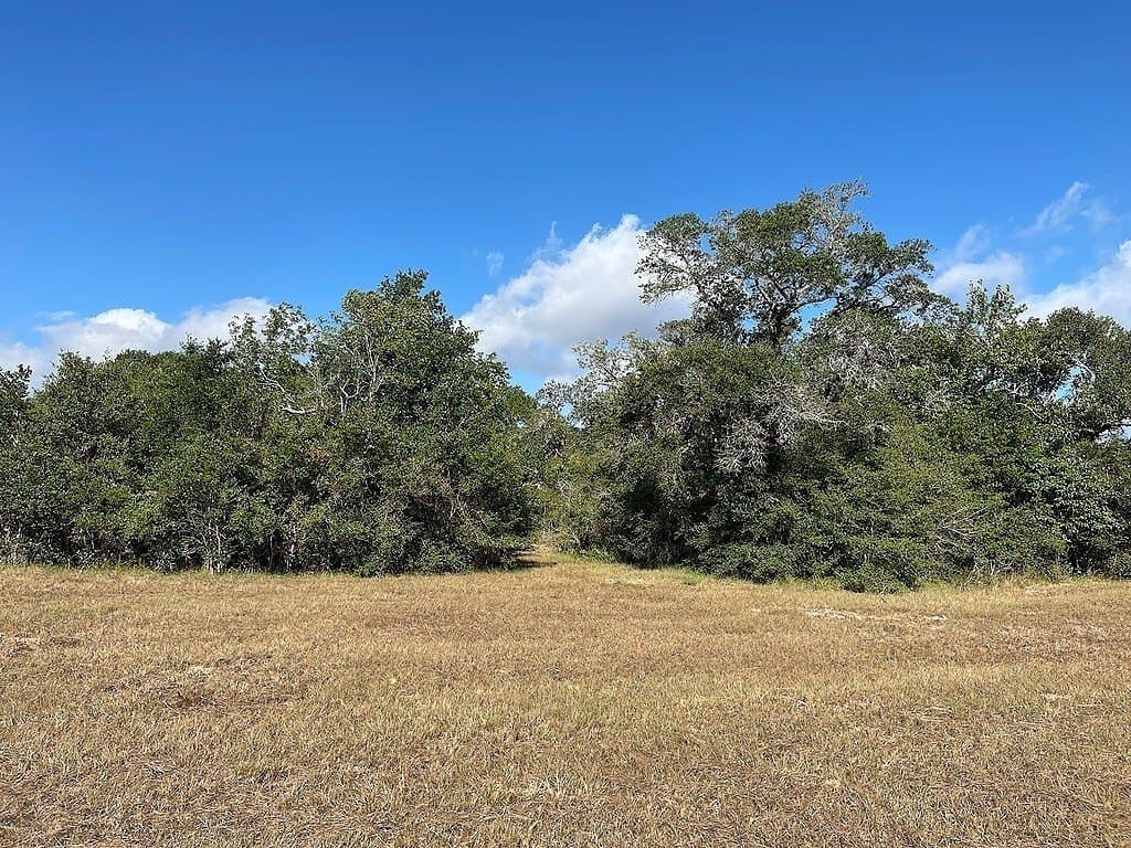 22.87 acres in Colorado County - photo 10