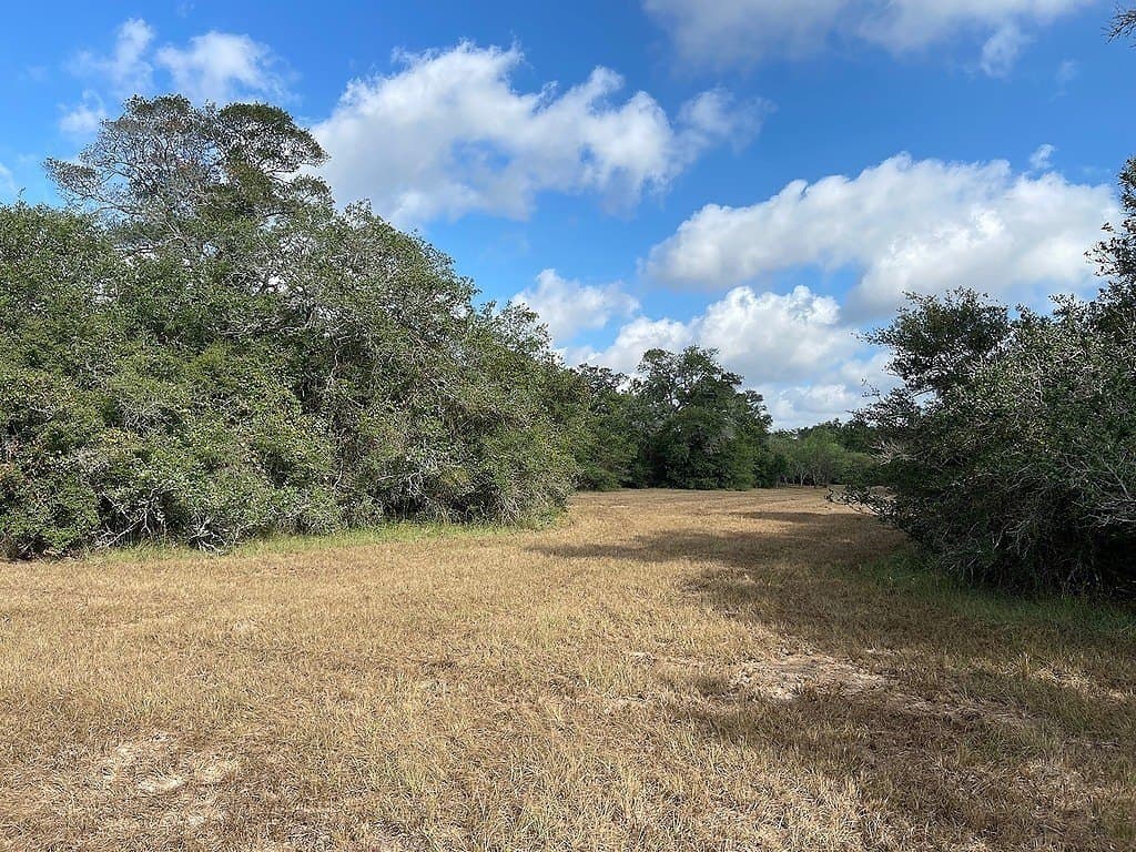 22.87 acres in Colorado County - photo 6
