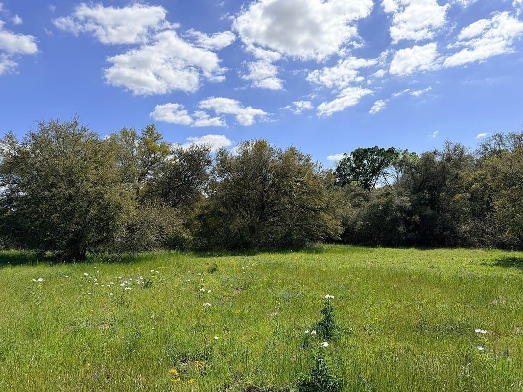 22.87 acres in Colorado County - photo 3