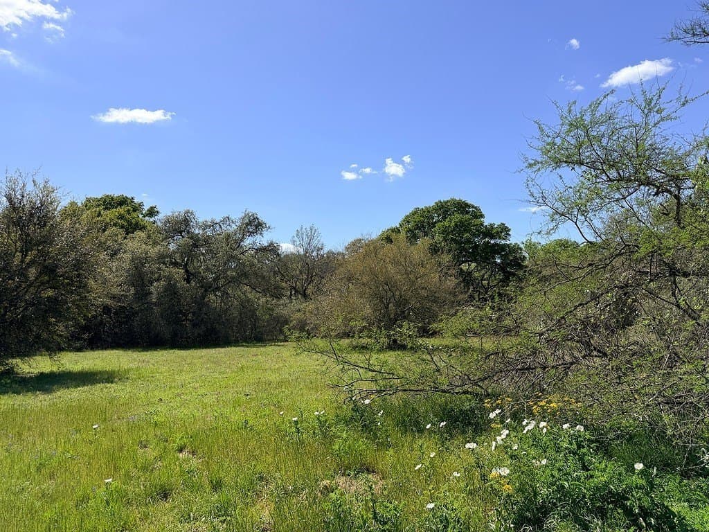 22.87 acres in Colorado County - photo 4