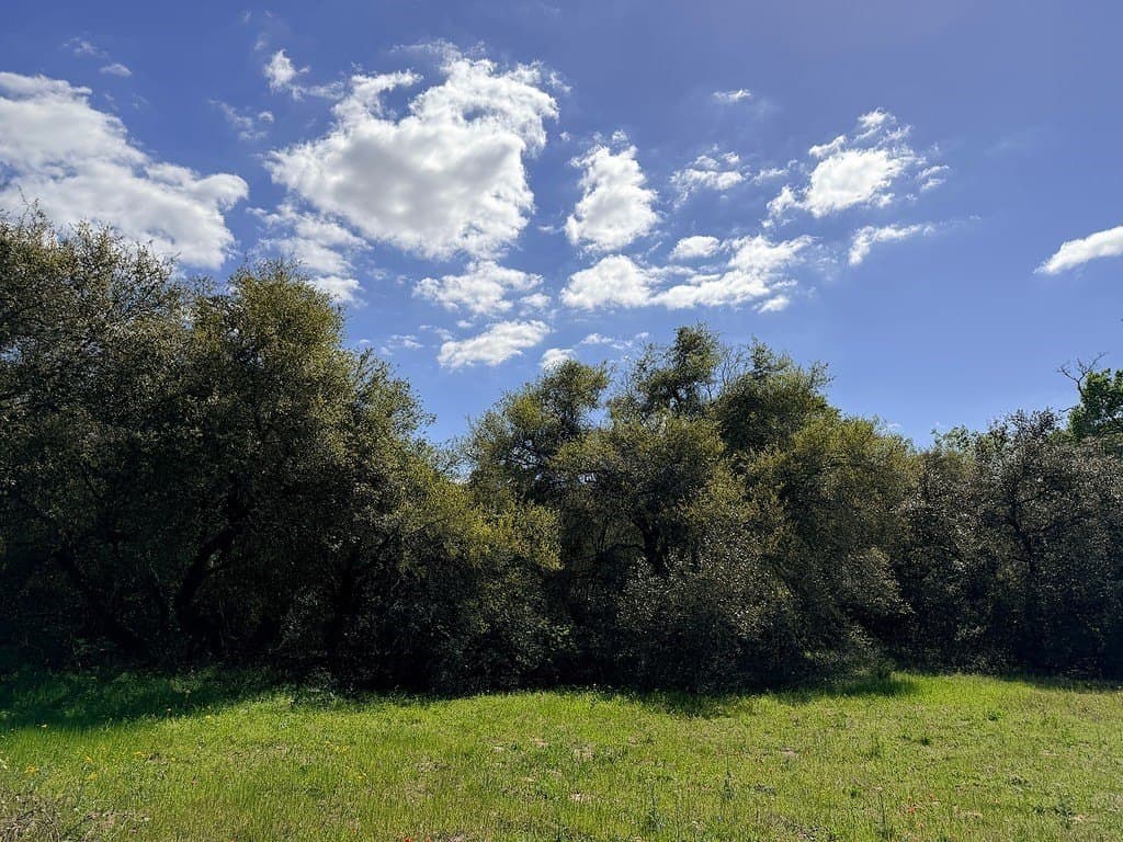 22.87 acres in Colorado County - photo 2