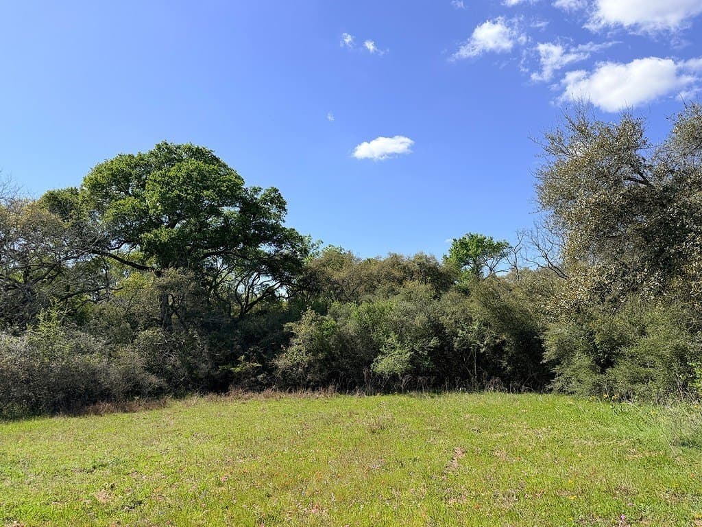 22.87 acres in Colorado County