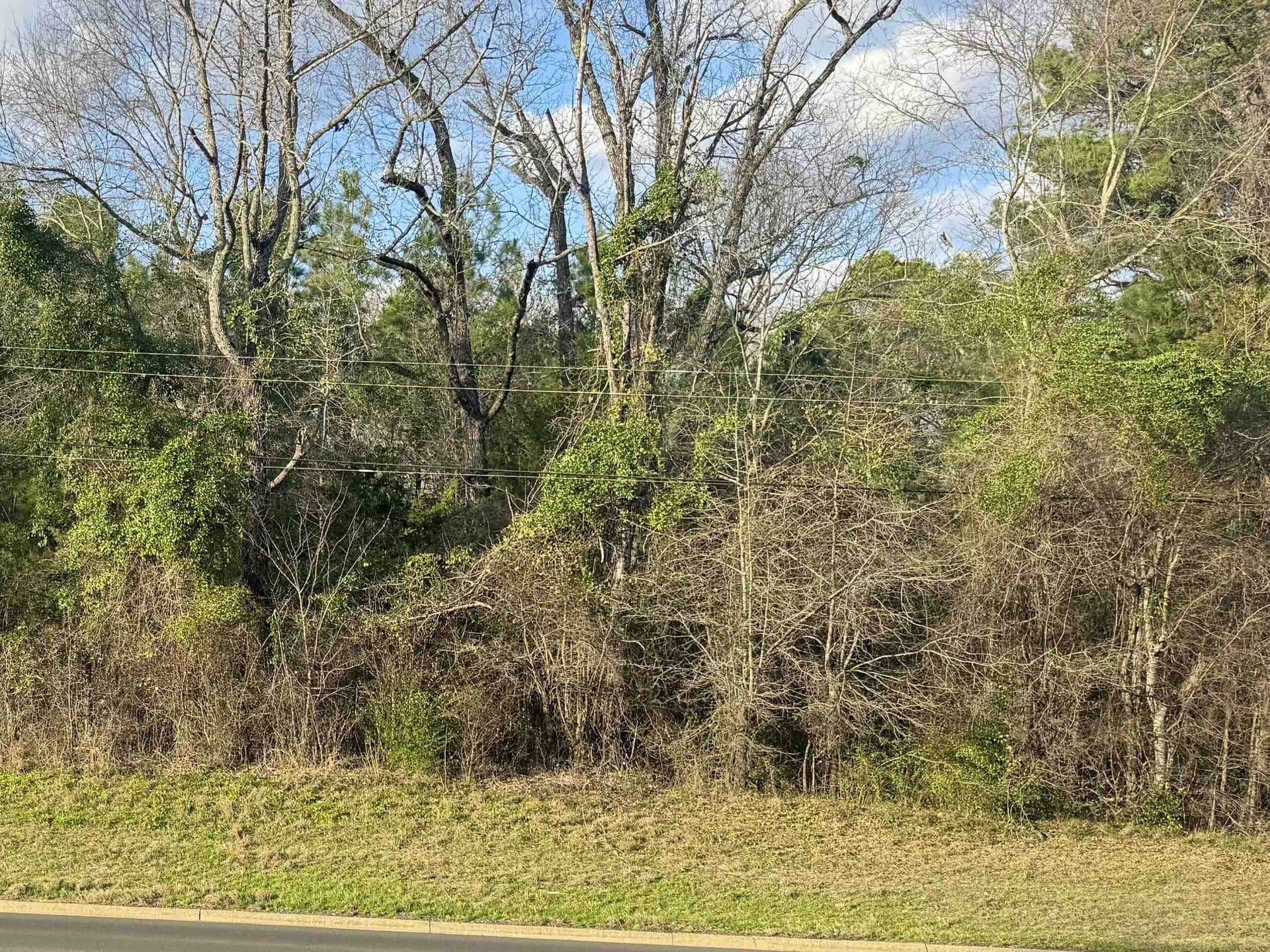 15.9 acres in Texas County - photo 5