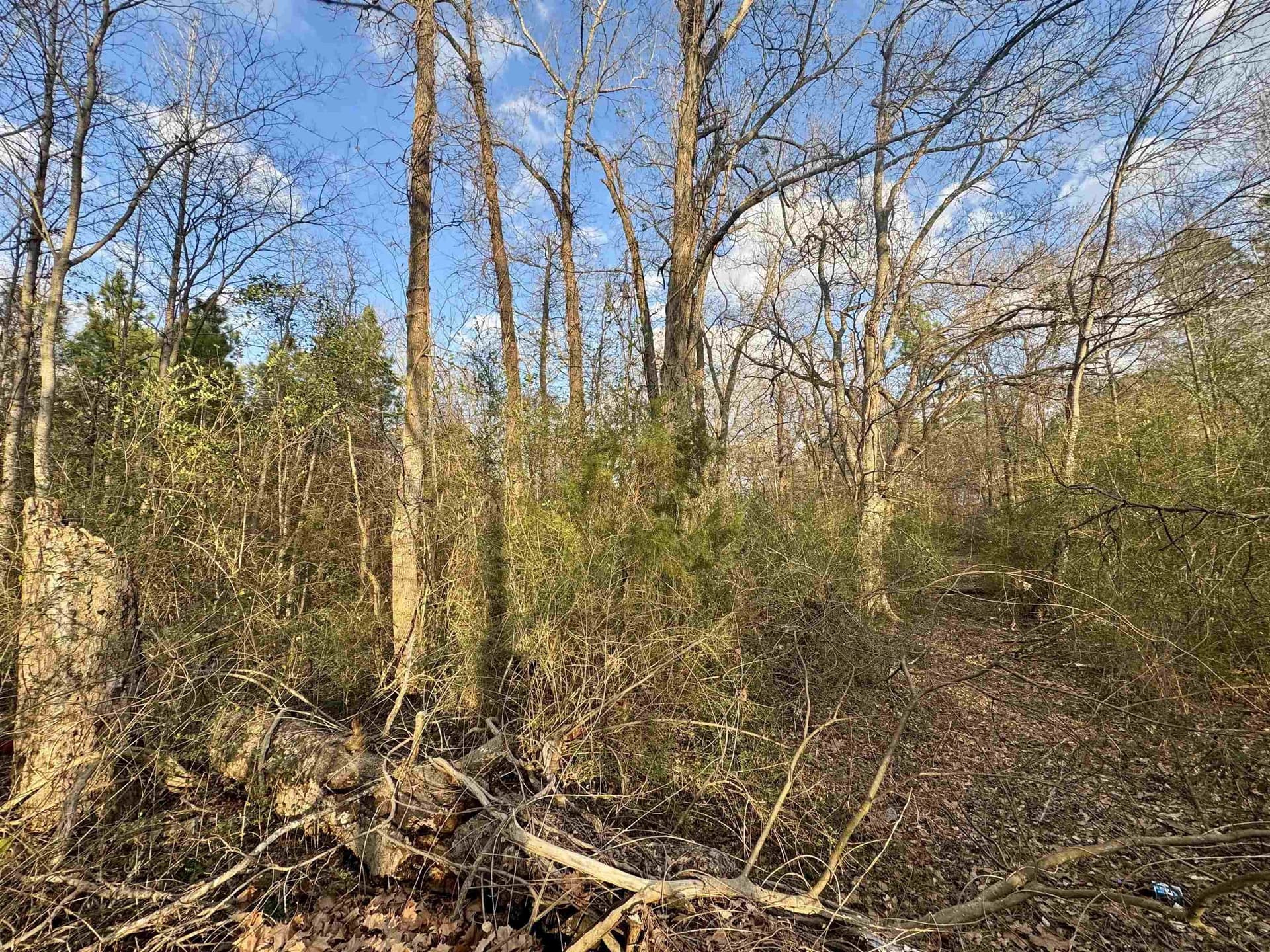 15.9 acres in Texas County - photo 8
