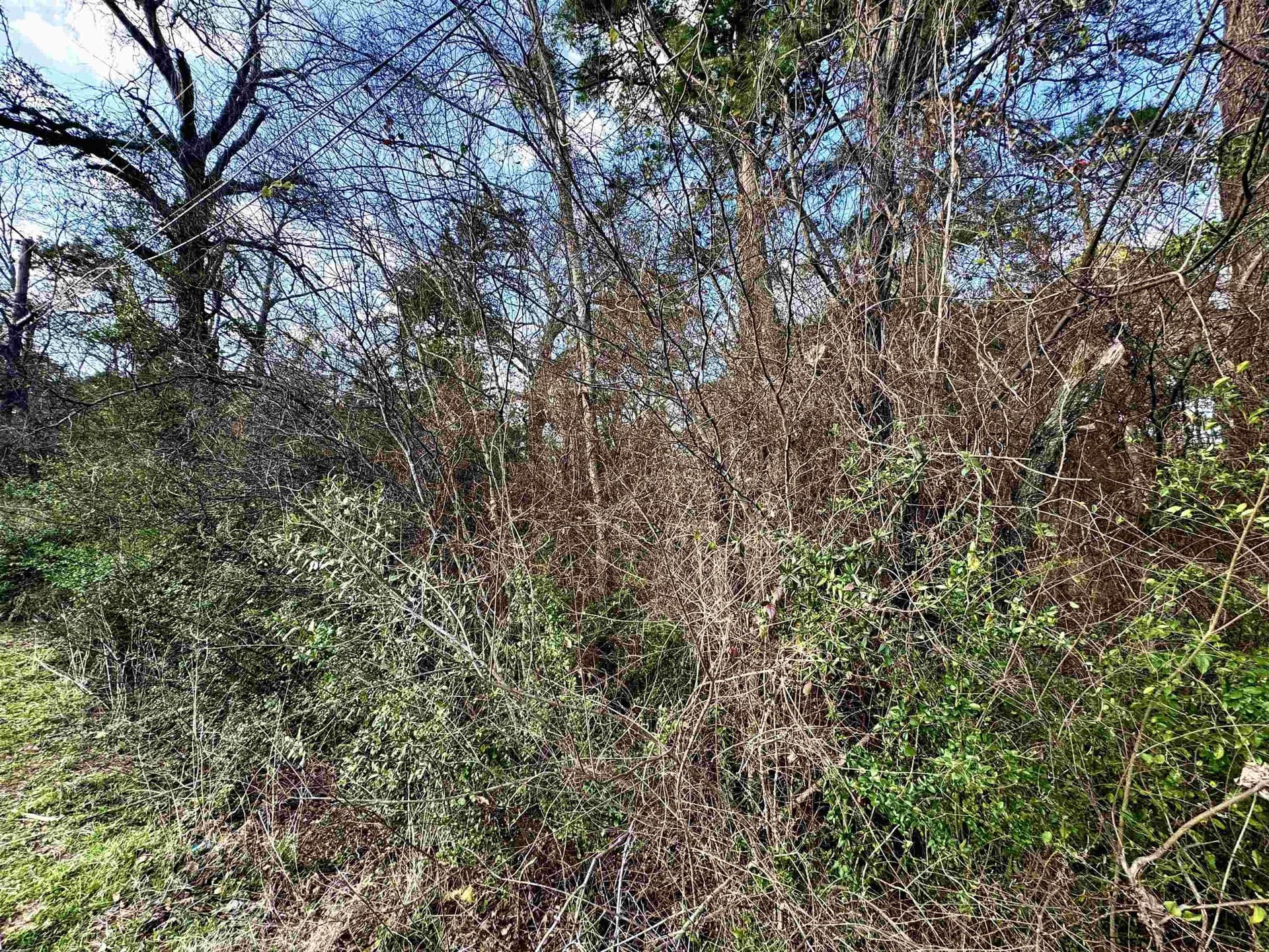 15.9 acres in Texas County - photo 6