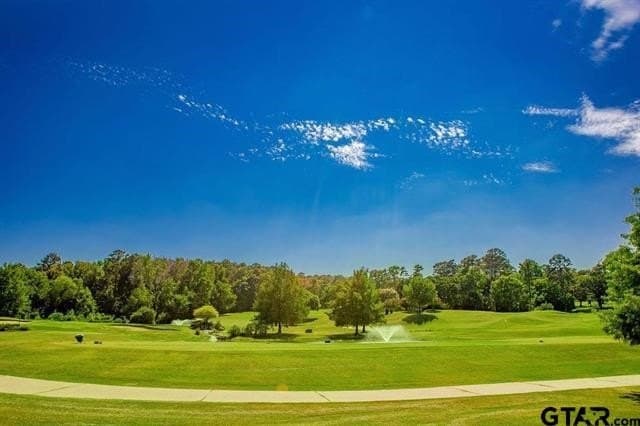 0.84 acres in Smith County - photo 33