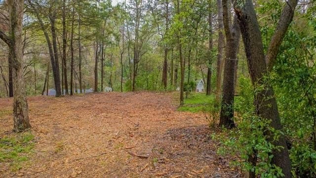 0.84 acres in Smith County - photo 11