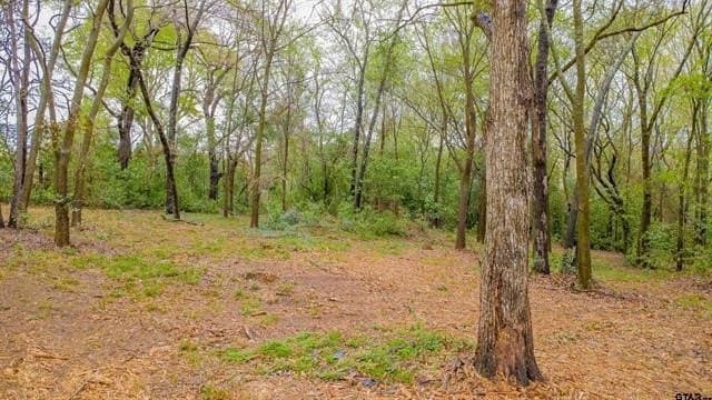 0.84 acres in Smith County - photo 6