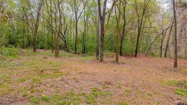 0.84 acres in Smith County - photo 10