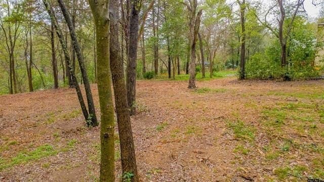 0.84 acres in Smith County - photo 13