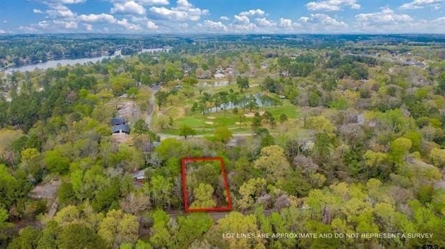 0.84 acres in Smith County - photo 16