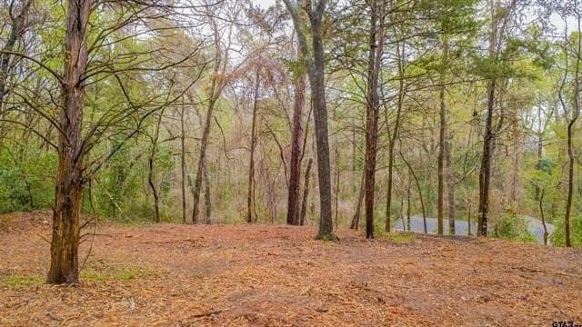 0.84 acres in Smith County - photo 8