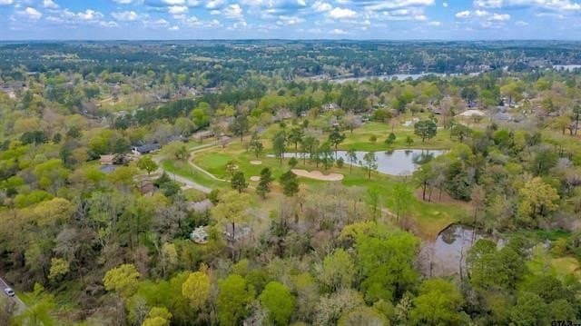 0.84 acres in Smith County - photo 22