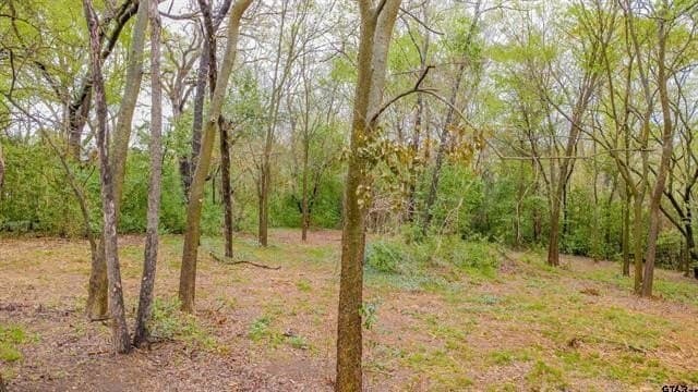 0.84 acres in Smith County - photo 9