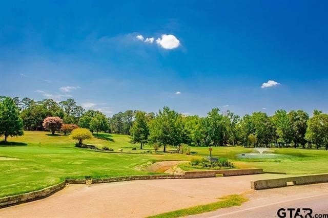 0.84 acres in Smith County - photo 31