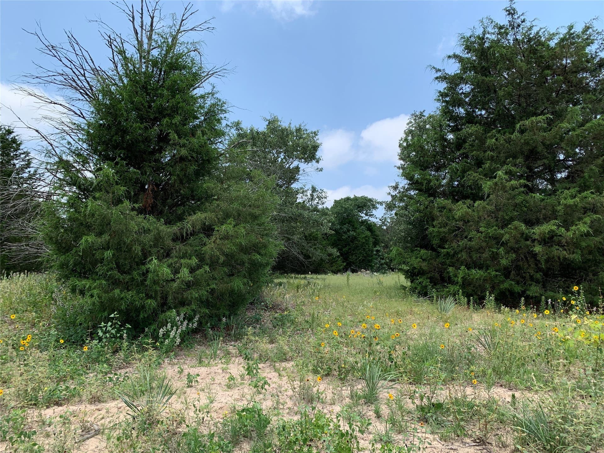 25.6 acres in Henderson County - photo 17