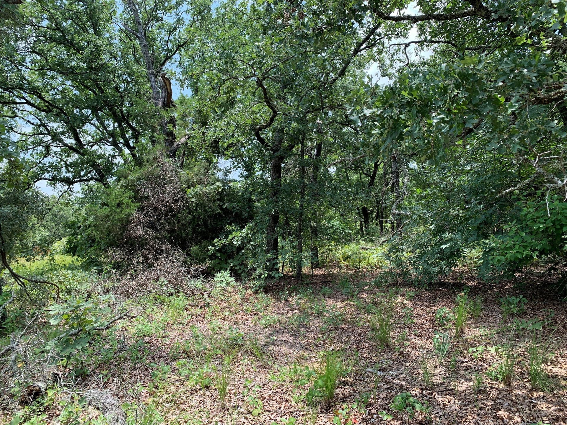 25.6 acres in Henderson County - photo 20