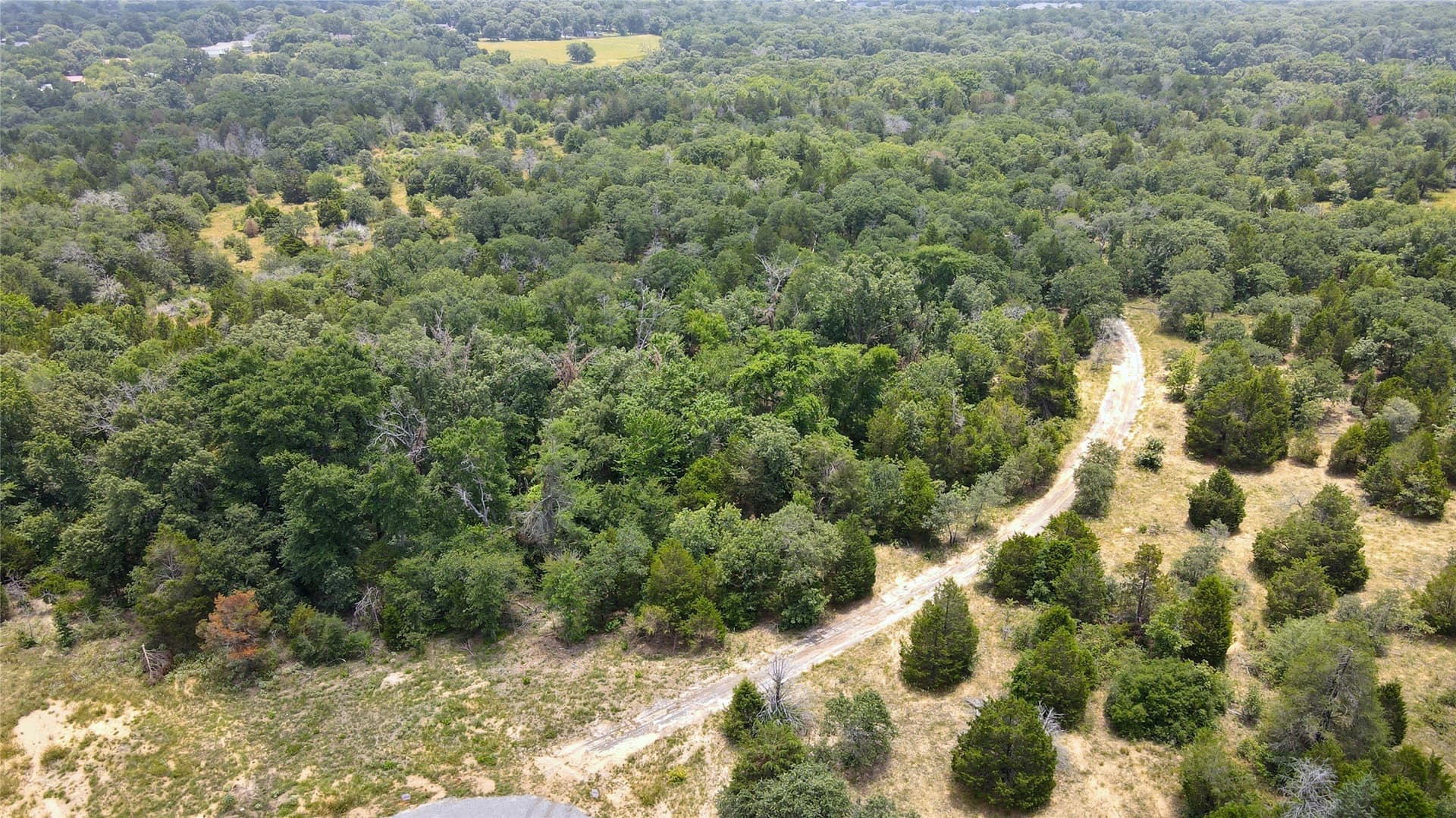 25.6 acres in Henderson County - photo 6