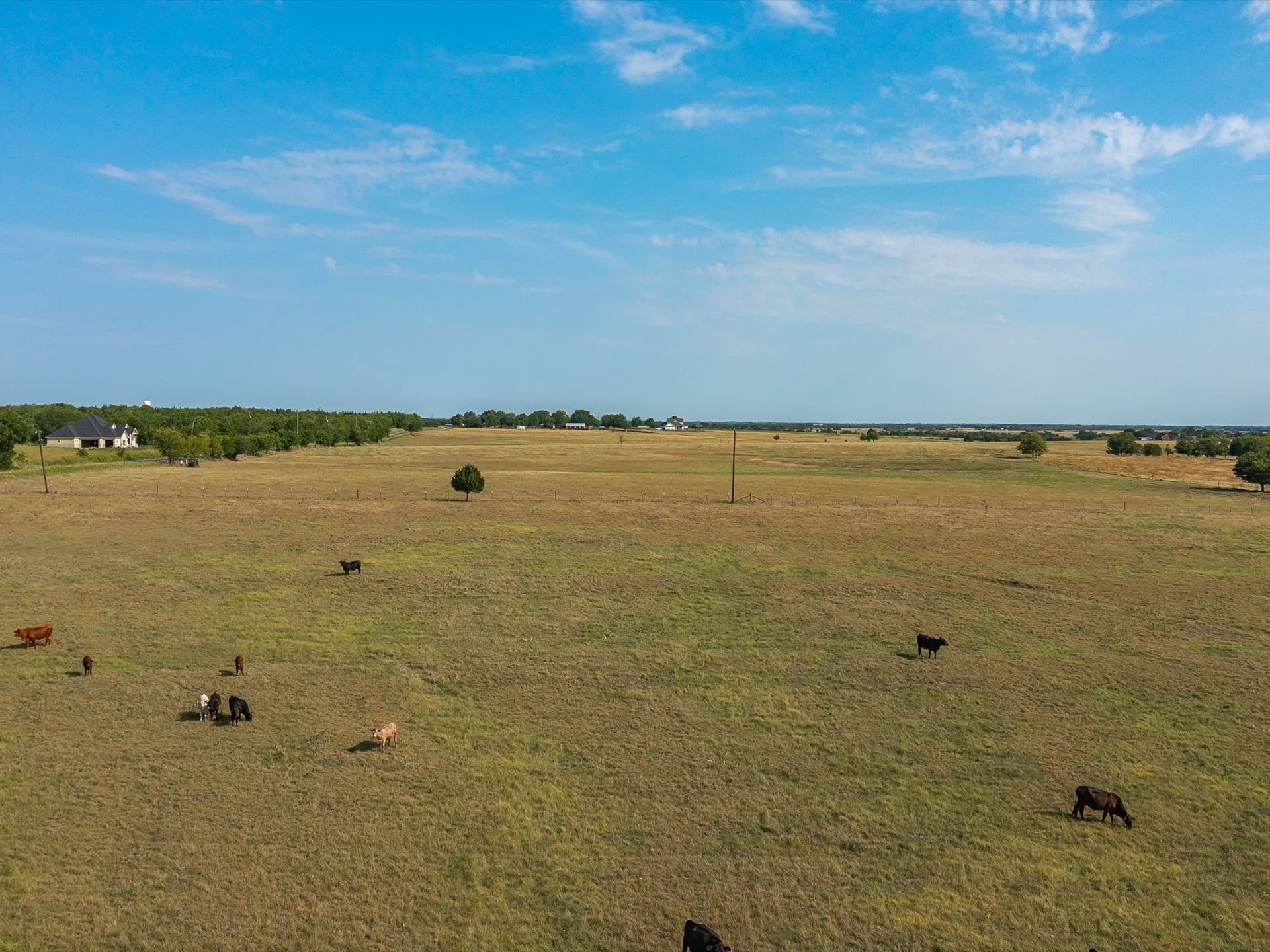 2 acres in Ellis County - photo 13
