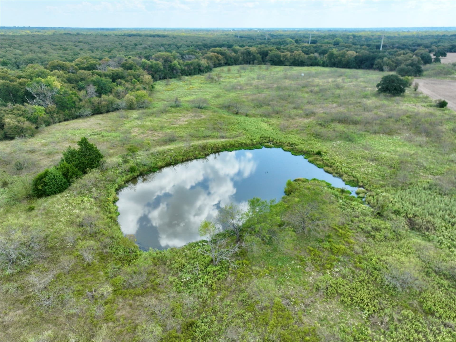 204.76 acres in Navarro County - photo 24
