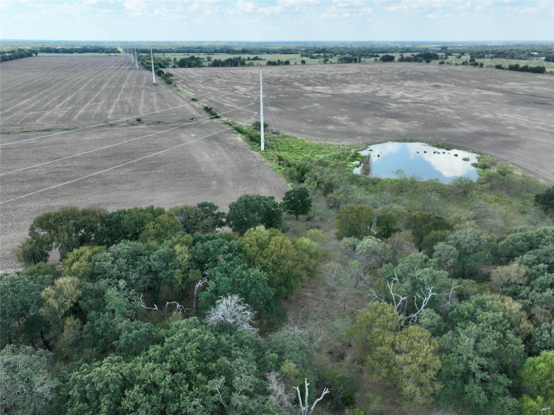204.76 acres in Navarro County - photo 13