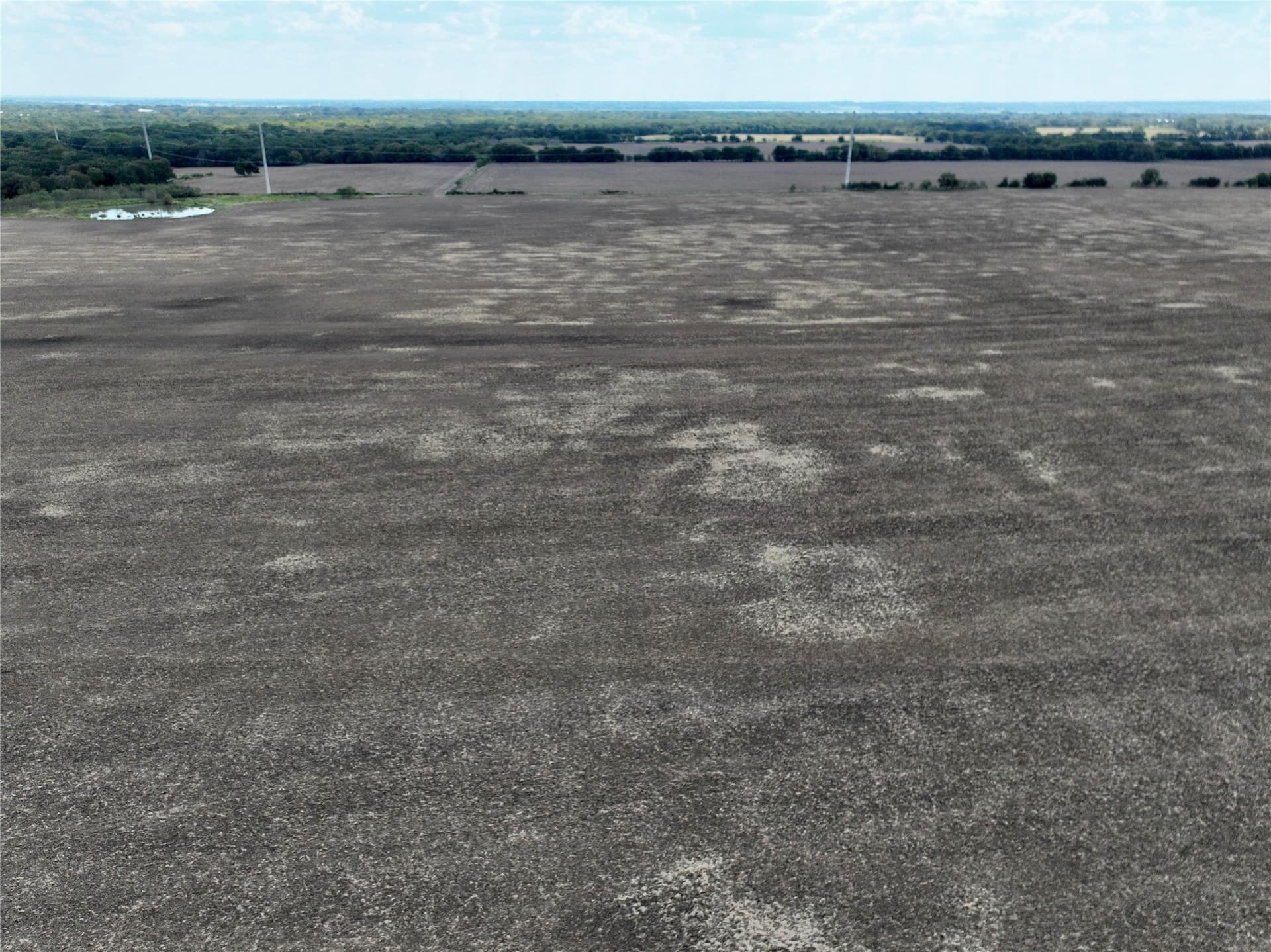 204.76 acres in Navarro County - photo 15