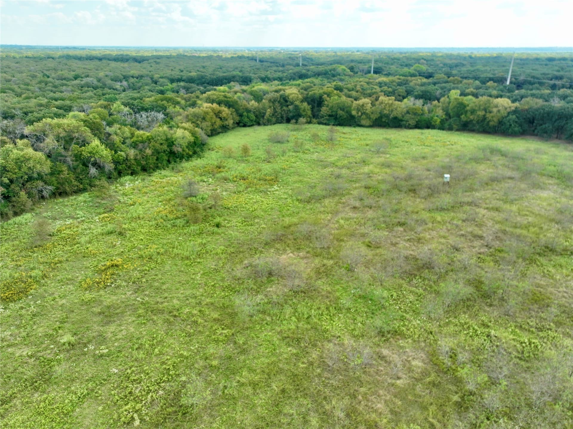 204.76 acres in Navarro County - photo 28