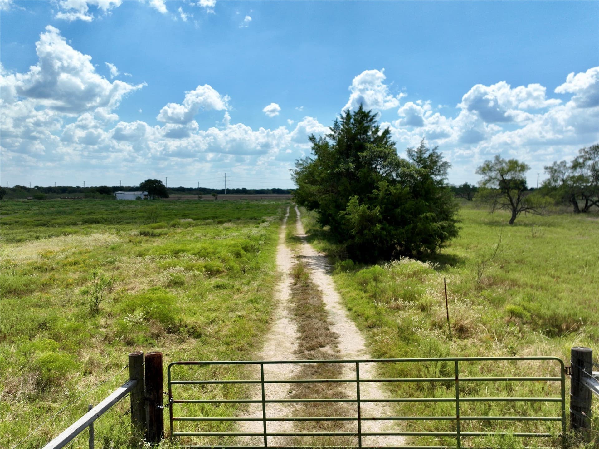 204.76 acres in Navarro County - photo 7