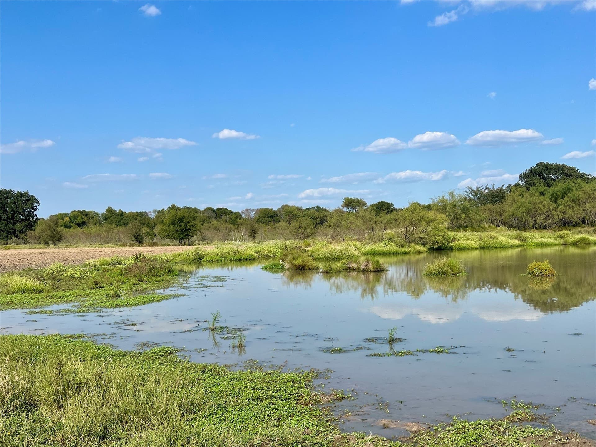 204.76 acres in Navarro County - photo 26