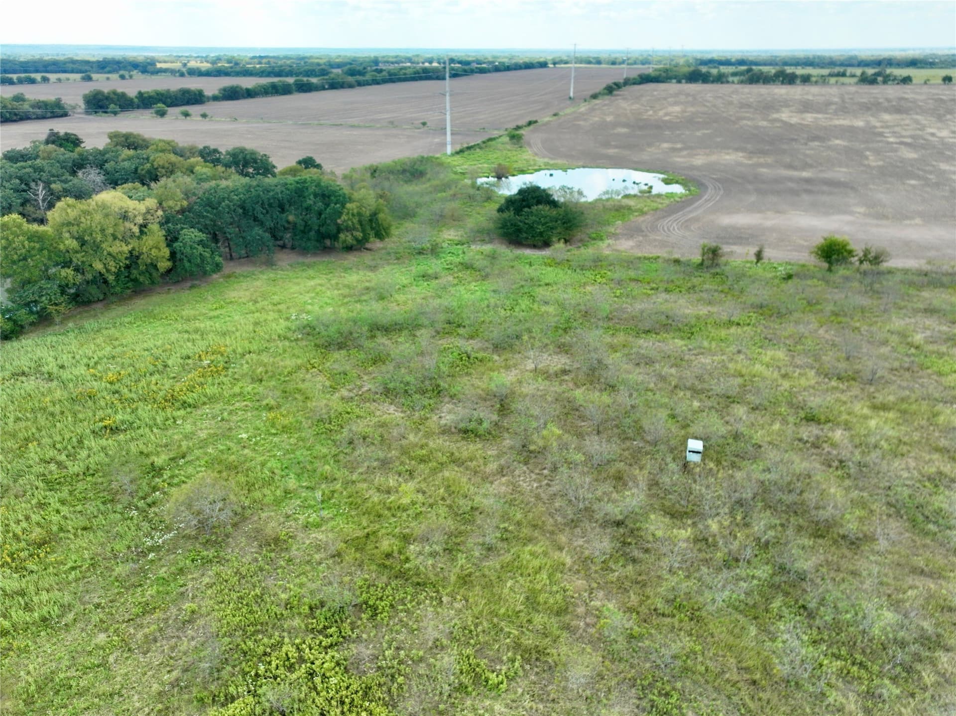 204.76 acres in Navarro County - photo 29