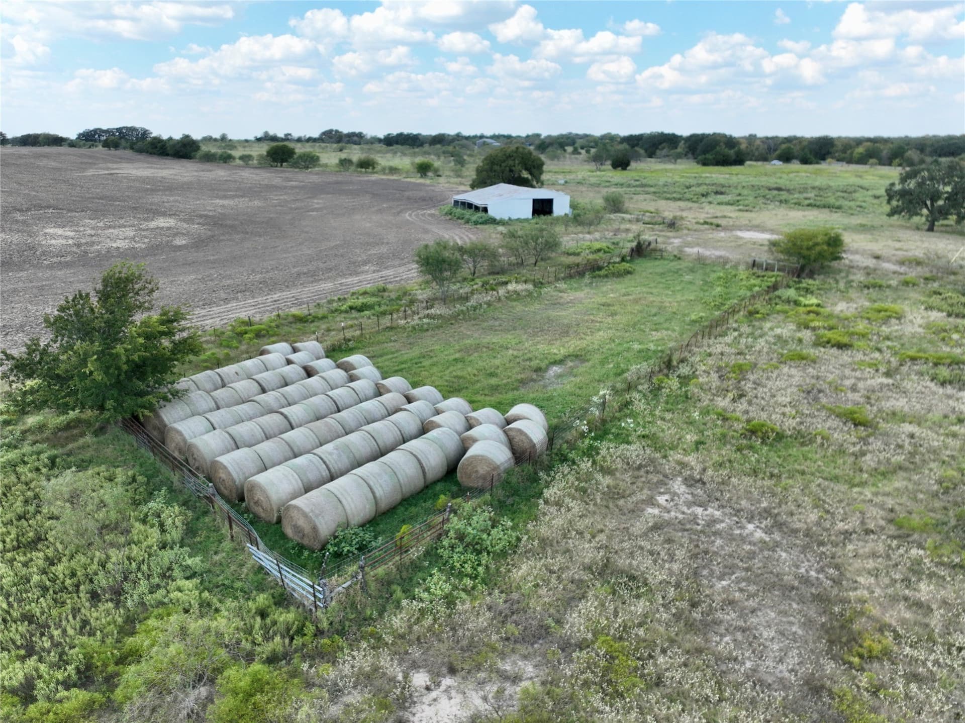 204.76 acres in Navarro County - photo 12