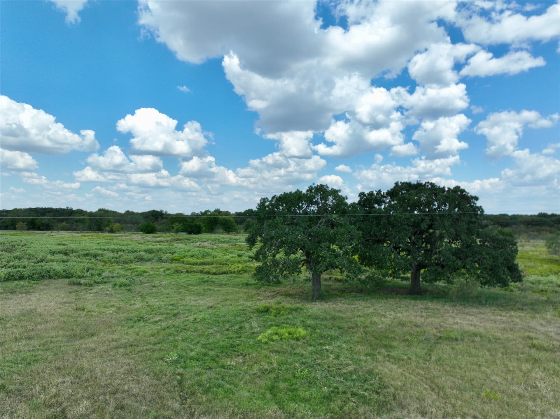 204.76 acres in Navarro County - photo 8