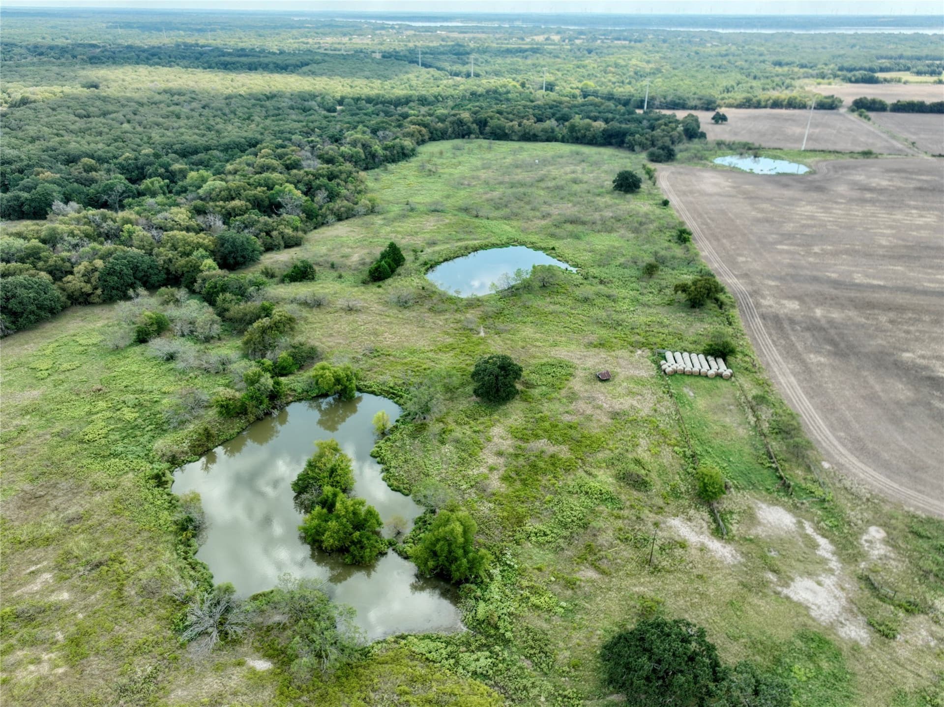 204.76 acres in Navarro County - photo 20